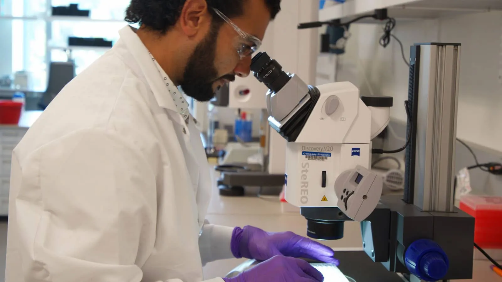 Decoding the Complex Science of Obesity